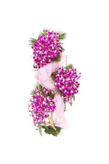 Beautiful Orchids Arrangement