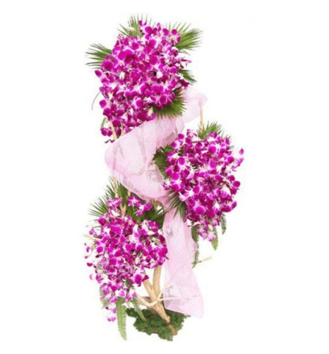 Beautiful Orchids Arrangement