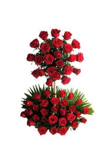 Two Tier Arrangement
