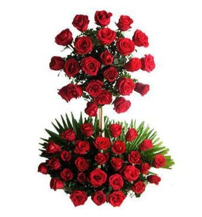 Two Tier Arrangement