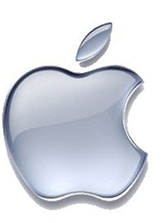 12 Mix Roses Hand Bouquet